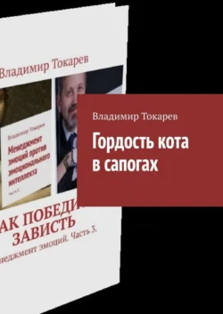 Гордость кота в сапогах - Владимир Токарев