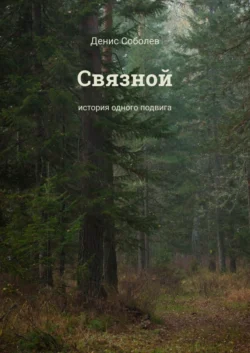 Связной. История одного подвига, аудиокнига Дениса Валерьевича Соболева. ISDN42647629