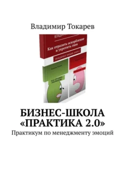 Бизнес-школа «Практика 2.0». Практикум по менеджменту эмоций - Владимир Токарев