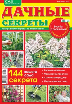 Дачные Секреты 06-2019 - Редакция журнала Дачные Секреты