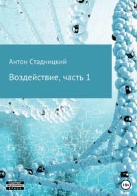Воздействие, audiobook Антона Стадницкого. ISDN42875723