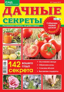 Дачные Секреты 07-2019 - Редакция журнала Дачные Секреты