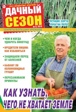 Дачный Сезон – Советы Читателей 06-2019 - Редакция журнала Дачный Сезон – Советы Читателей