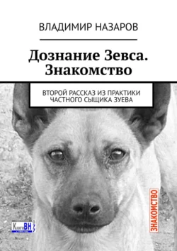 Дознание Зевса. Знакомство. Второй рассказ из практики частного сыщика Зуева - Владимир Назаров