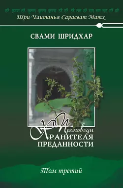 Проповеди хранителя преданности. Том 3 - Свами Б. Р. Шридхар