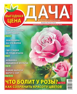 Дача Pressa.ru 14-2019 - Редакция газеты Дача Pressa.ru