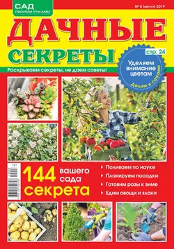 Дачные Секреты 08-2019 - Редакция журнала Дачные Секреты