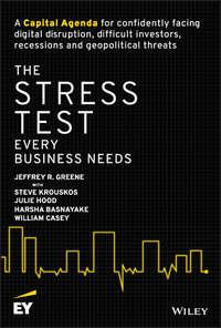 The Stress Test Every Business Needs, William  Casey аудиокнига. ISDN43441010