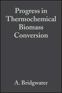Progress in Thermochemical Biomass Conversion,  Hörbuch. ISDN43441442