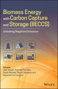 Biomass Energy with Carbon Capture and Storage (BECCS), Sarah  Mander audiobook. ISDN43441506