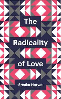 The Radicality of Love - Srecko Horvat