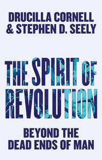 The Spirit of Revolution, Drucilla  Cornell аудиокнига. ISDN43443234