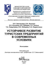 Устойчивое развитие туристских предприятий в современных условиях - Ольга Звягинцева