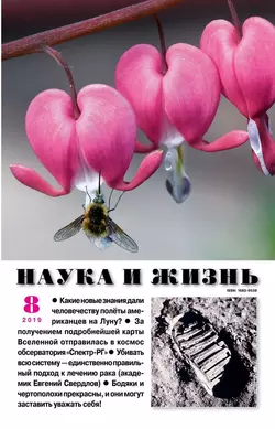 Наука и Жизнь 08-2019 - Редакция журнала Наука и Жизнь