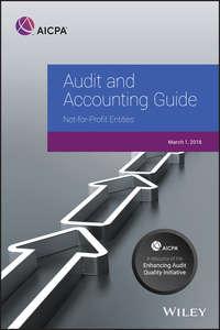 Auditing and Accounting Guide,  audiobook. ISDN43480816