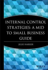 Internal Control Strategies,  książka audio. ISDN43482240