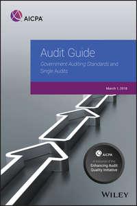 Audit Guide,  аудиокнига. ISDN43483840