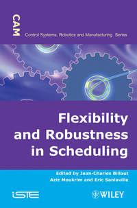 Flexibility and Robustness in Scheduling - Jean-Charles Billaut