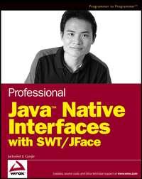 Professional Java Native Interfaces with SWT / JFace,  książka audio. ISDN43493957