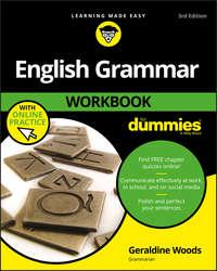 English Grammar Workbook For Dummies, with Online Practice,  książka audio. ISDN43497189