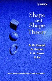 Shape and Shape Theory, D.  Barden аудиокнига. ISDN43507122