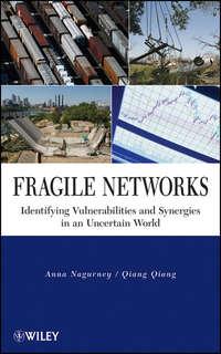 Fragile Networks, Anna  Nagurney аудиокнига. ISDN43508138