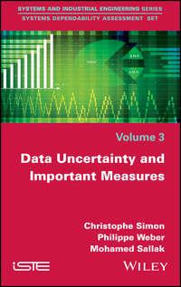 Data Uncertainty and Important Measures, Philippe  Weber аудиокнига. ISDN43509522