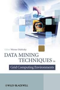 Data Mining Techniques in Grid Computing Environments - Сборник