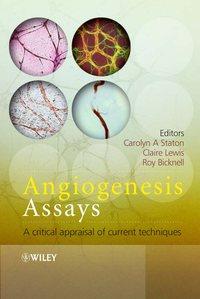 Angiogenesis Assays - Claire Lewis