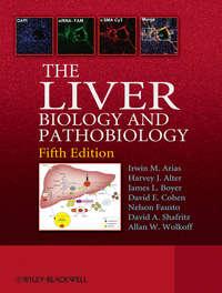 The Liver - Nelson Fausto