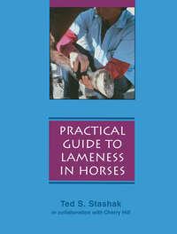 Practical Guide to Lameness in Horses, Cherry  Hill аудиокнига. ISDN43519503