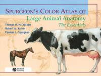 Spurgeons Color Atlas of Large Animal Anatomy,  аудиокнига. ISDN43521383