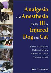 Analgesia and Anesthesia for the Ill or Injured Dog and Cat - Melissa Sinclair