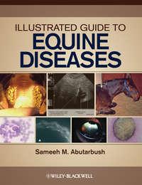 Illustrated Guide to Equine Diseases,  аудиокнига. ISDN43521479