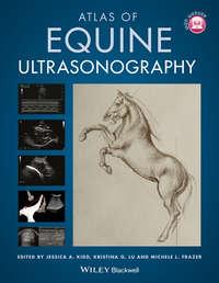 Atlas of Equine Ultrasonography - Kristina Lu