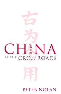 China at the Crossroads,  аудиокнига. ISDN43526167