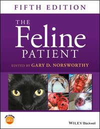 The Feline Patient,  audiobook. ISDN43527991