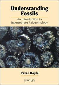 Understanding Fossils - Collection