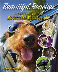 Beautiful Beasties, Jamie  Pflughoeft audiobook. ISDN43531231
