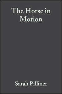The Horse in Motion - Sarah Pilliner
