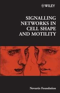 Signalling Networks in Cell Shape and Motility - Gregory Bock