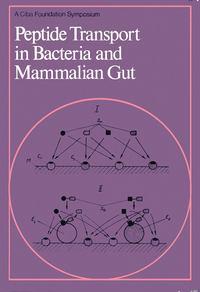 Peptide Transport in Bacteria and Mammalian Gut,  аудиокнига. ISDN43534226