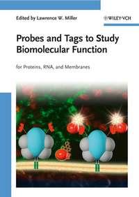 Probes and Tags to Study Biomolecular Function,  аудиокнига. ISDN43534266