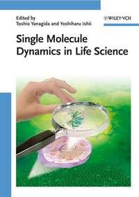Single Molecule Dynamics in Life Science - Toshio Yanagida