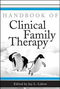 Handbook of Clinical Family Therapy,  audiobook. ISDN43535946