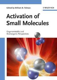 Activation of Small Molecules,  аудиокнига. ISDN43538562