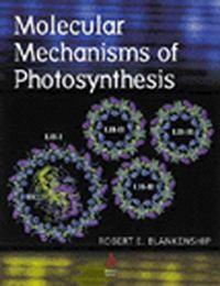 Molecular Mechanisms of Photosynthesis - Сборник