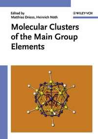 Molecular Clusters of the Main Group Elements - Heinrich Noth