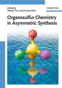 Organosulfur Chemistry in Asymmetric Synthesis - Carsten Bolm