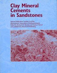 Clay Mineral Cements in Sandstones (Special Publication 34 of the IAS), Sadoon  Morad аудиокнига. ISDN43554192